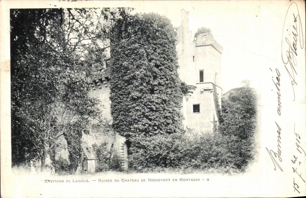 Ruinen des Schlosses Rochefort en Montagne — Umgebung von Laignes — 8 - Vorderseite