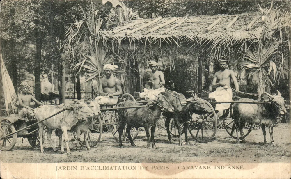 Caravane indienne — scène de caravane tirée par des bovins sous une hutte de chaume — JARDIN D'ACCLIMATATION DE PARIS - Vorderseite