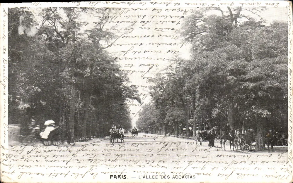 PARIS — A ALLEIA DOS ACÁCIAS — Editor não visível - Frente