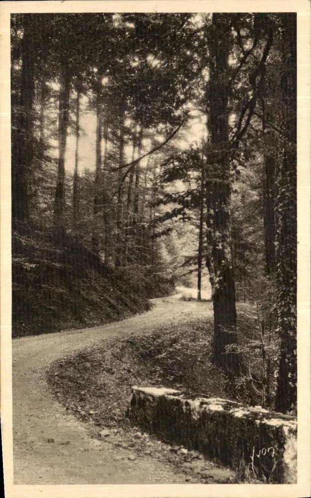 Estrada florestal — Alpes — Éditions d'Art Yvon - Frente