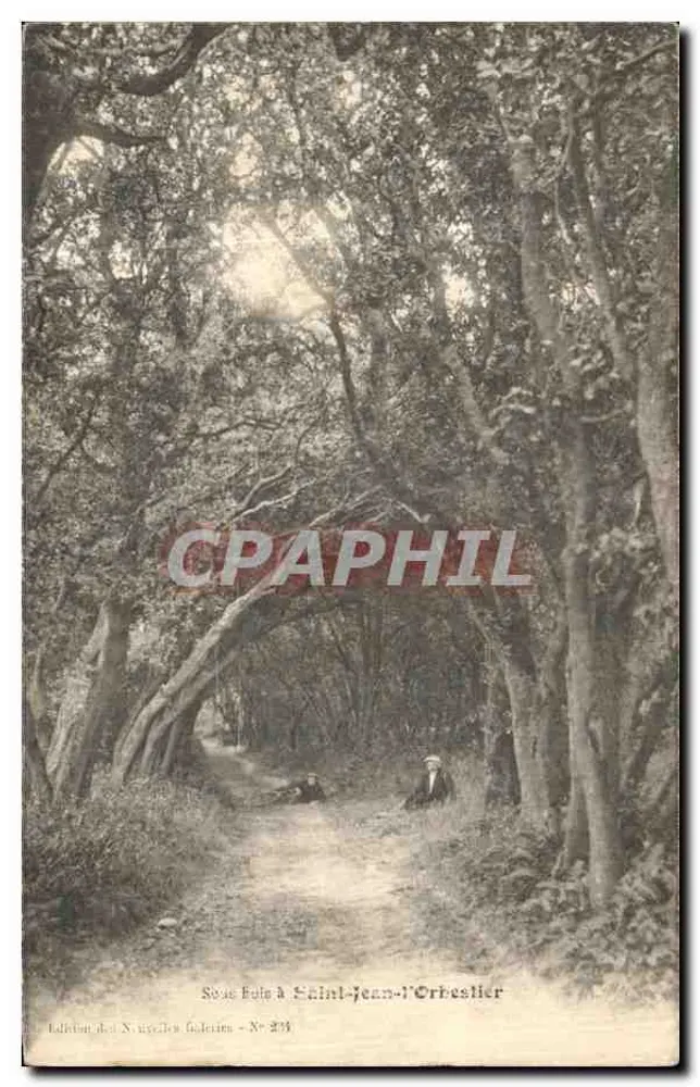 Estrada arborizada em Saint-Jean-l'Orbestier — Edição das N. Noyelles Galeries - N° 233 - Frente