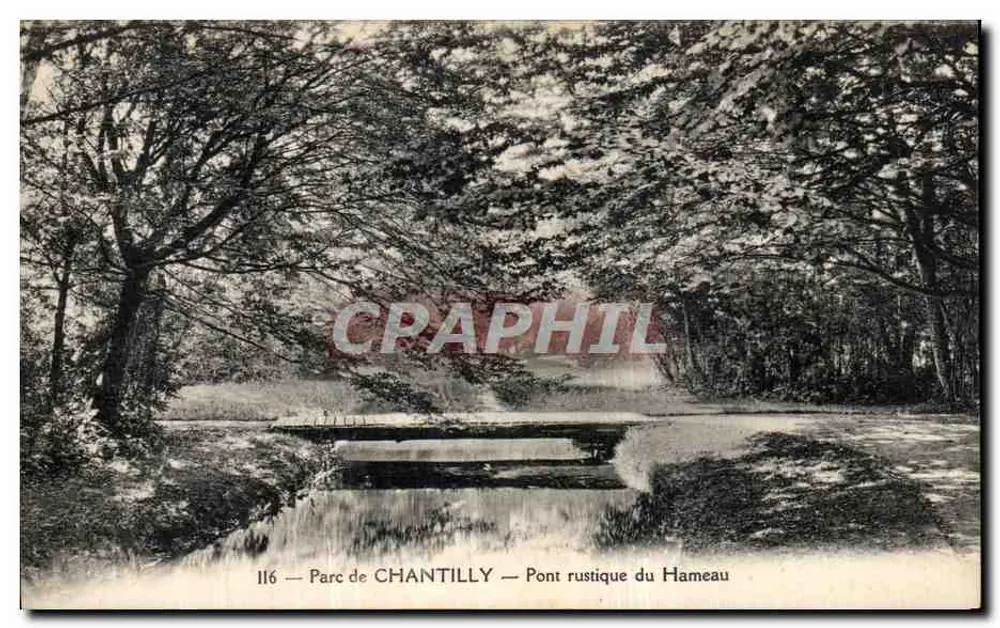 Parque de Chantilly — Ponte rústica do Hameau — n°116 - Frente