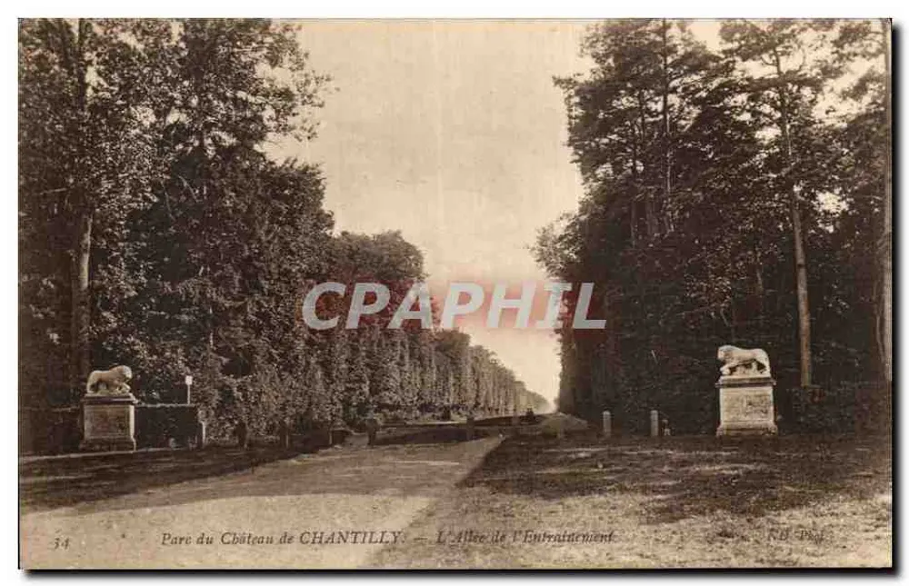 Park des Château de Chantilly — Die Trainingsallee — R.D. Dey - Vorderseite