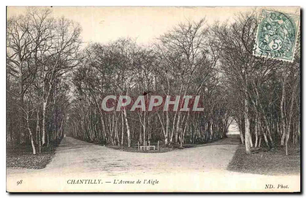Chantilly — A Avenida do Falcão — ND. Fot. n°98 - Frente