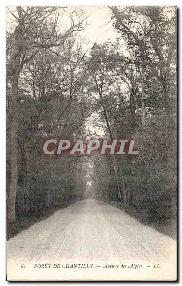 Floresta de Chantilly — Avenida das Águias — LL. n°61 - Frente