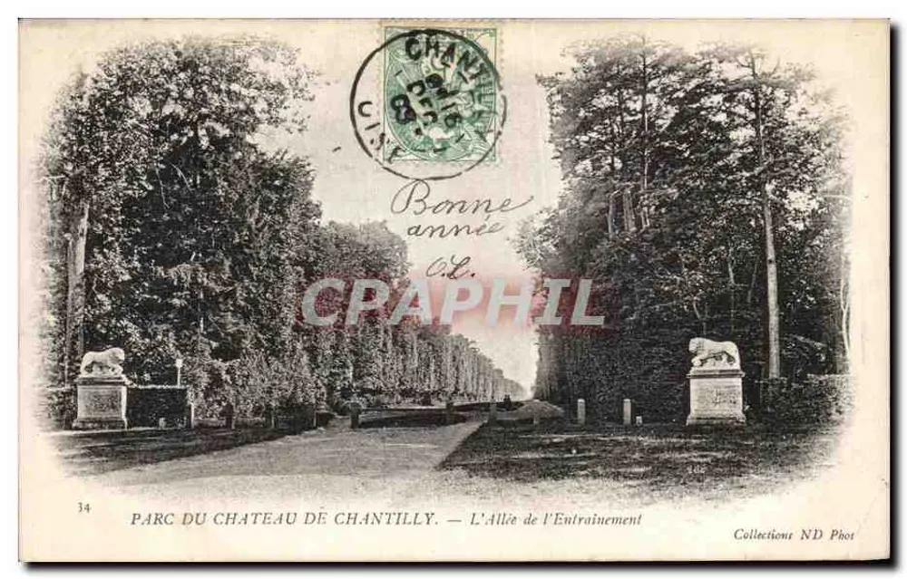 Park des Schlosses Chantilly — Die Trainingsallee — Collections ND Phot - Vorderseite