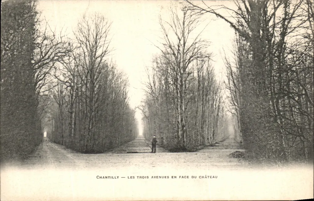 Chantilly — Die drei Alleen vor dem Schloss — Phototypie A. Bruger, Paris - Vorderseite