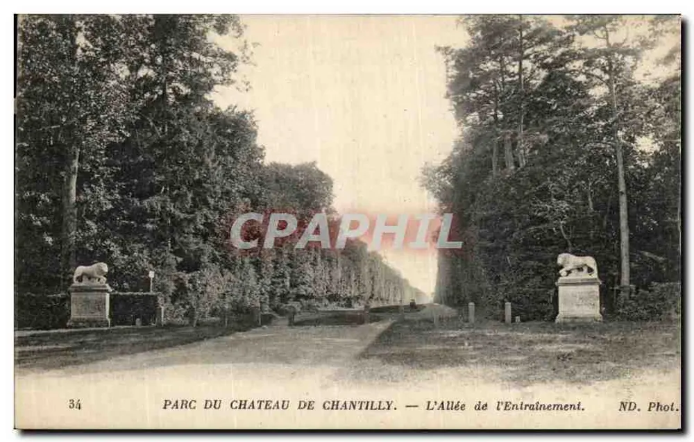 Park des Schlosses Chantilly — Die Trainingsallee — ND. Foto. - Vorderseite