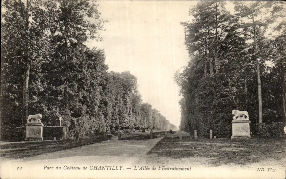 Schlosspark von CHANTILLY — Die Trainingsallee — ND Pi ot - Vorderseite