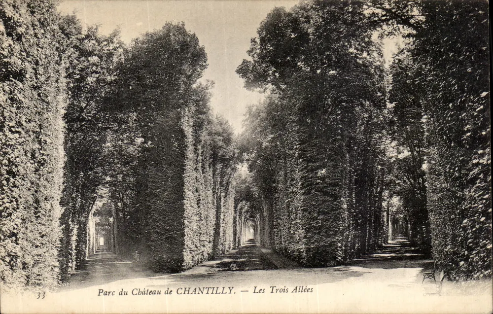 Park des Schlosses CHANTILLY — Die drei Alleen — unbekannter Verleger, Nr. 33 - Vorderseite