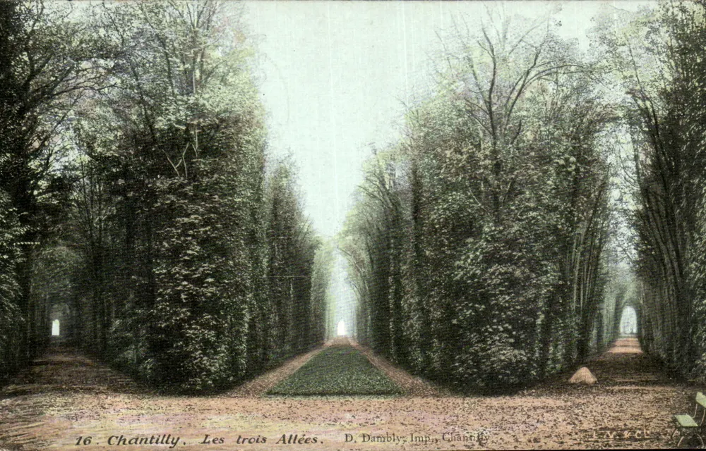 Chantilly, As Três Avenidas — D. Dambly, Imp. Chantilly, n°16 - Frente