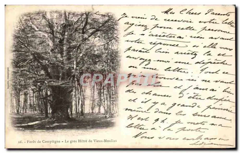 Forêt de Compiègne - Der große Eichenbaum von Vieux-Moulins — Société Géographique - Vorderseite