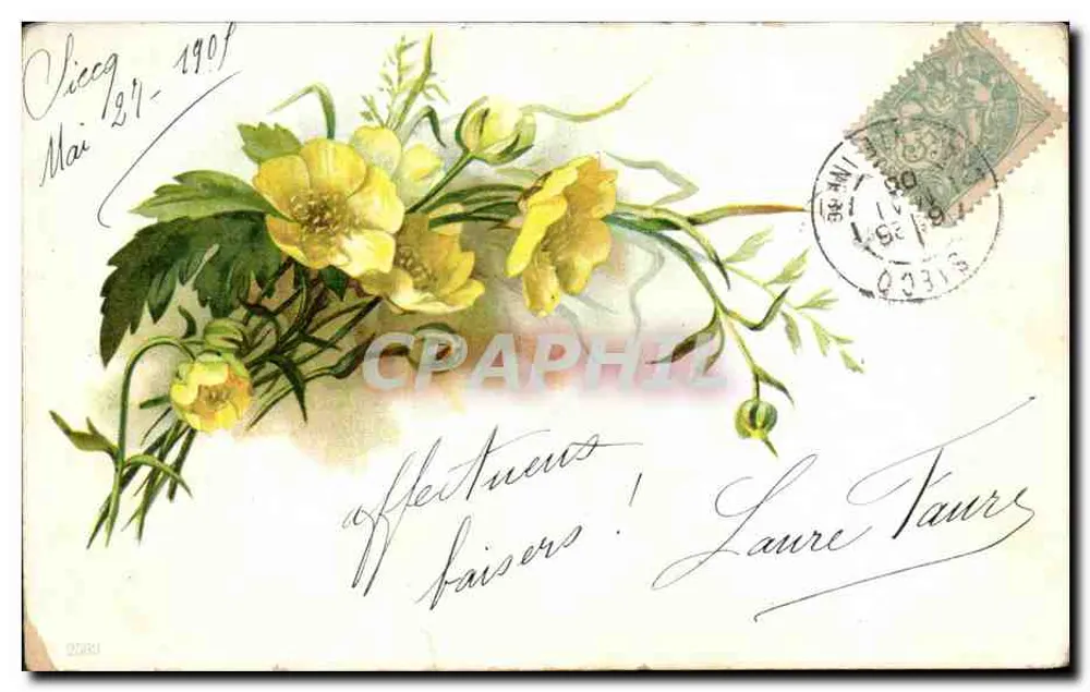 Fleurs jaunes — bouquet imprimé — éditeur SIECQ, n° 00316 - Frente