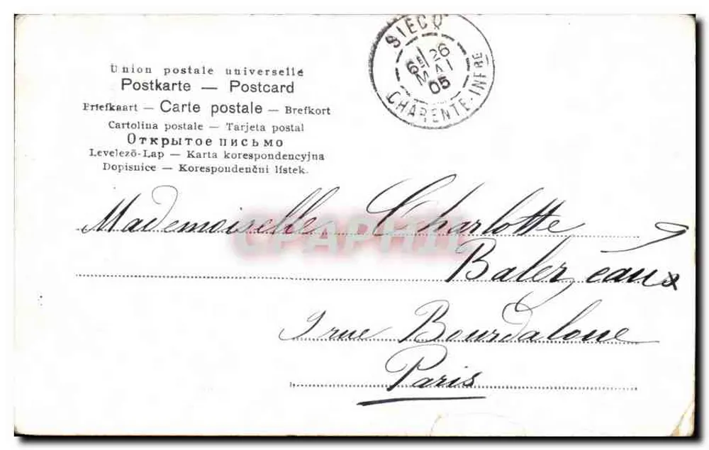 Fleurs jaunes — bouquet imprimé — éditeur SIECQ, n° 00316 - Verso