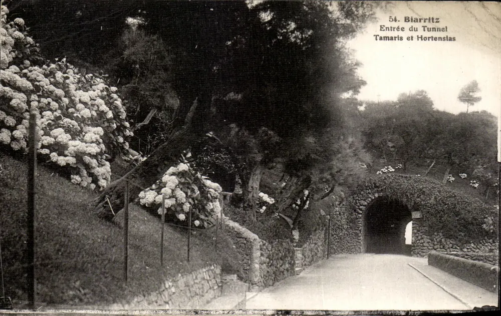 Biarritz — Eingang des Tamaris-Tunnels und Hortensien — Verlag L. Jugand, Biarritz, Nr. 54 - Vorderseite