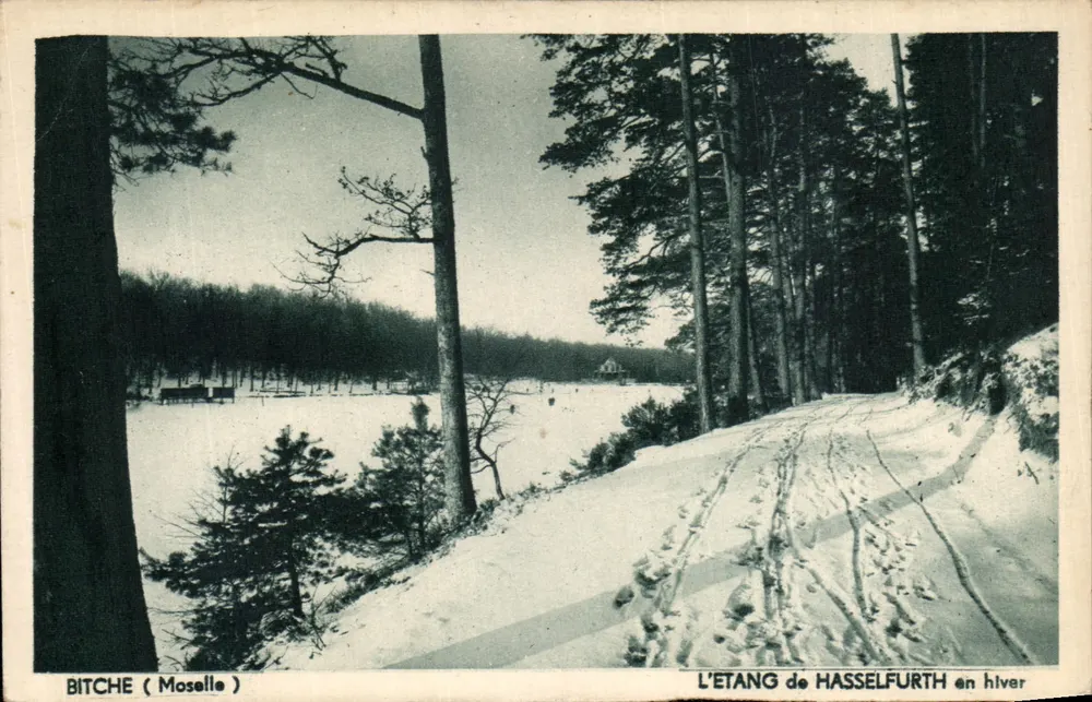 L'Étang de Hasselfurth en hiver — vue d'hiver avec sentier enneigé et forêt — éditeur Hélias, Bitche (Moselle) - Anverso