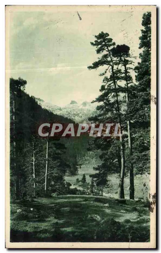 Paysage dans la Vallée de Marcadau — Environ de Cauterets — Éditeur Bloc frères, Ardenneaux - Vorderseite