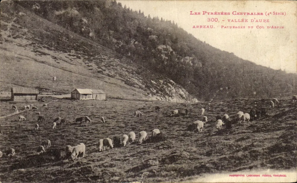 Zentrale Pyrenäen (4. Serie) — Tal der Aure, Weiden am Aspin-Pass — Phototypie Labouche, Frankreich - Vorderseite