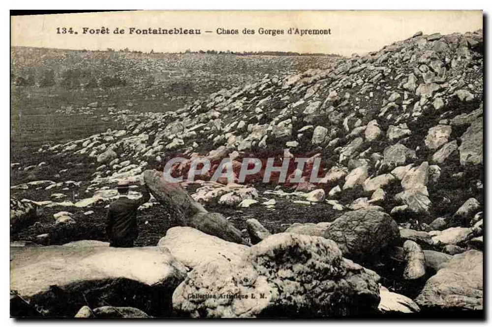 Wald von Fontainebleau — Chaos der Schluchten von Apremont — Künstlerische Sammlung L. M. Nr. 134 - Vorderseite