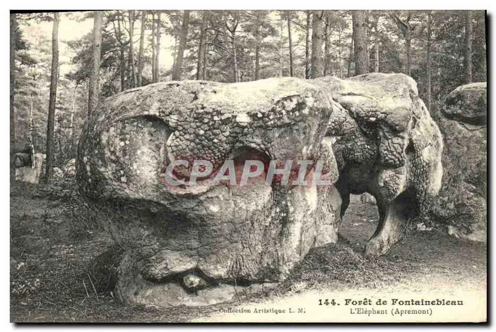 Foresta di Fontainebleau — L'Elefante (Apremont) — Collezione Artistica L. M., n° 144 - Recto