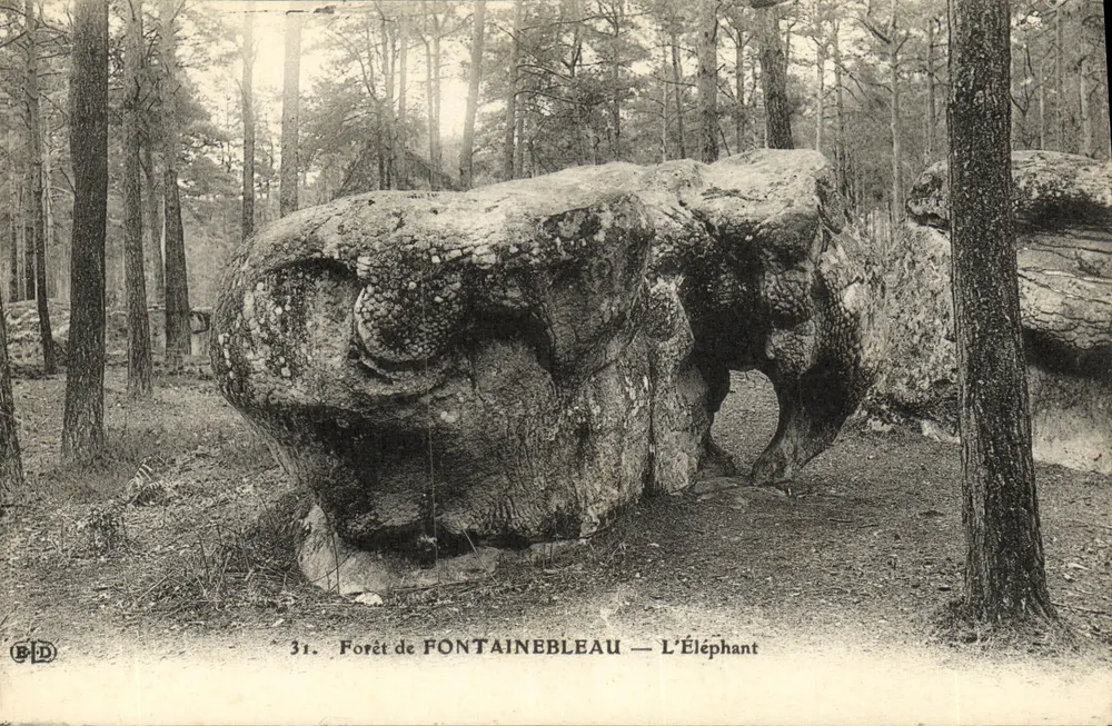 Floresta de Fontainebleau — O Elefante — B.D. n°31 - Frente