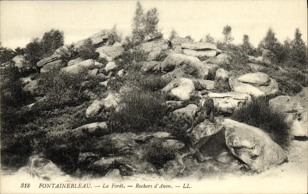 Fontainebleau — La Forêt — Rochers d'Avon — LL. — n° 318 - Anverso