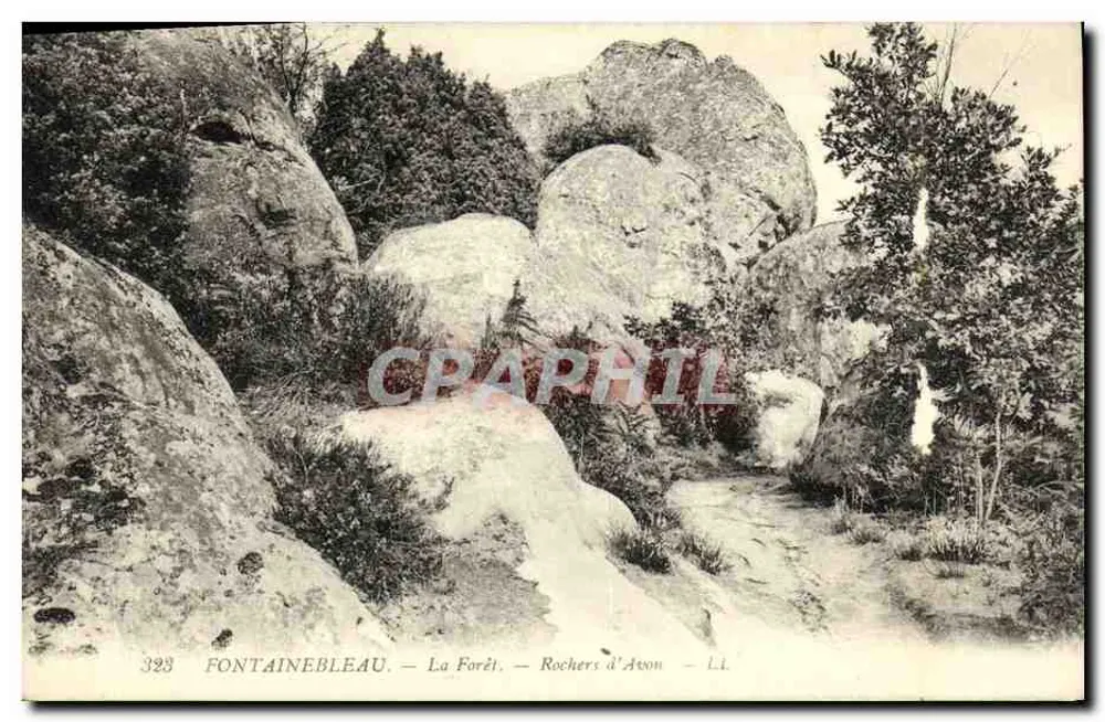 Fontainebleau — Die Forêt — Rochers d'Avon — L.I. — Nr. 323 - Vorderseite
