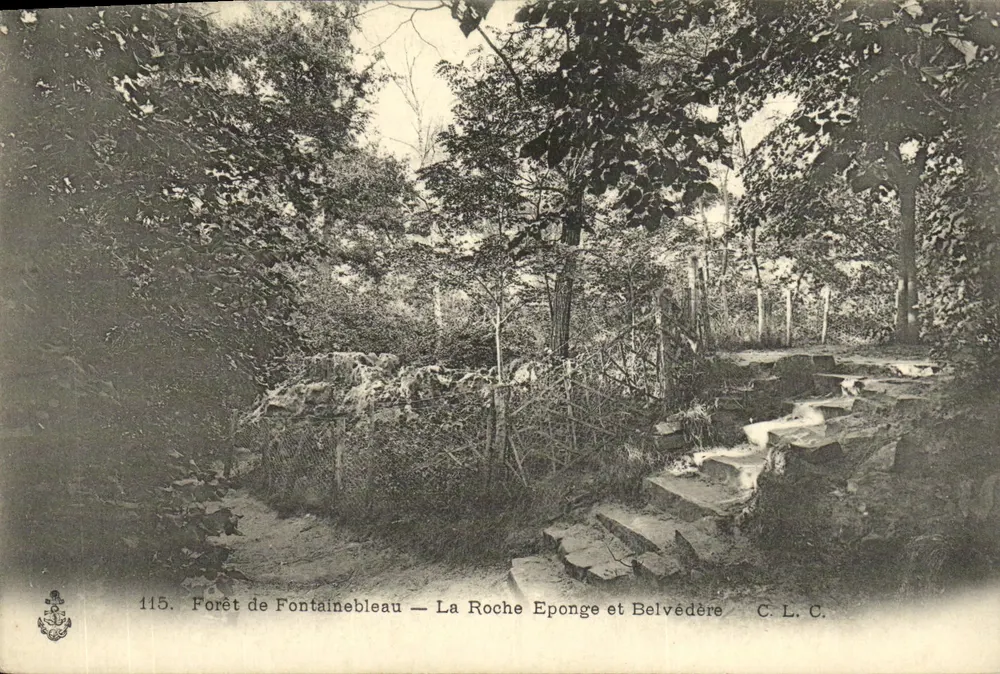 Forêt de Fontainebleau — La Roche Eponge und Belvédère — C.L.C. — n°115 - Vorderseite