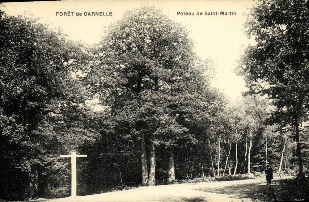 Foresta di Carnelle — Pali di Saint-Martin — Frémont Édit. sull'Oise - Recto