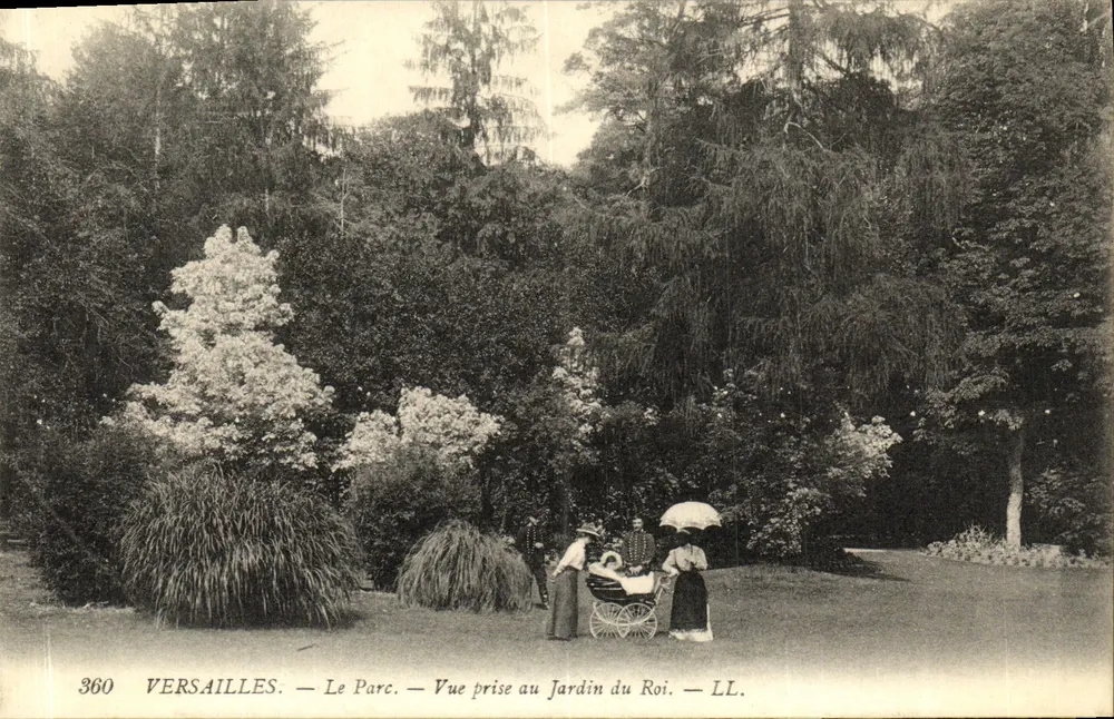 Versailles — Der Park — Aufnahme im Jardin du Roi — LL. — N° 360 - Vorderseite