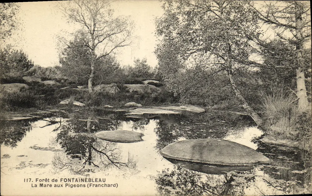 Wald von Fontainebleau — Der Taubenteich (Franchard) — Serie 117 - Vorderseite