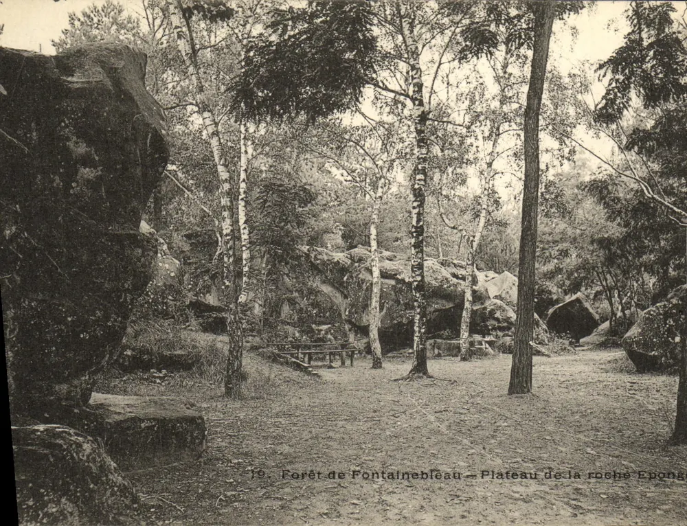 Wald von Fontainebleau — Plateau de la Roche Eponge — n°19 - Vorderseite
