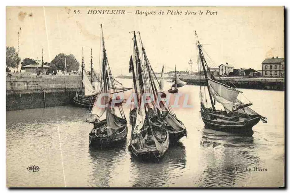 HONFLEUR — Barcos de pesca no porto — editor Le Havre, n° 55 - Frente