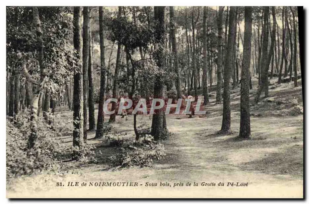 Insel Noirmoutier — Unterholz, in der Nähe der Grotte du Pé-Lavé — J. Nozais, Verlag, Nantes - Vorderseite