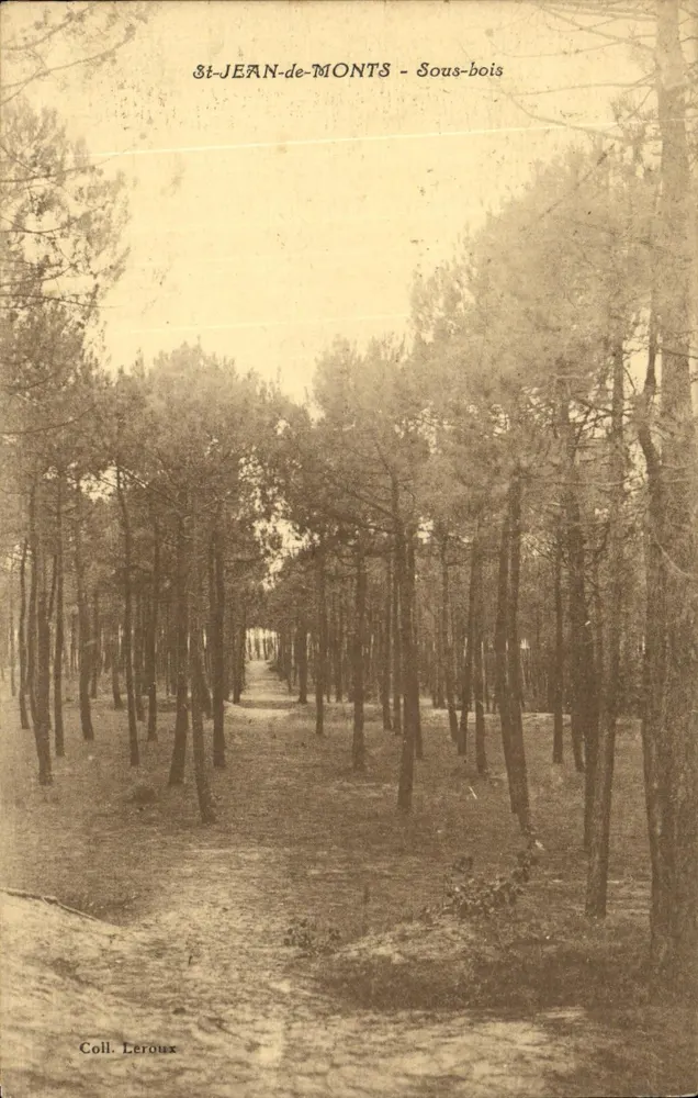 St-JEAN-de-MONTS - Sous-bois — Coleção Leroux - Frente