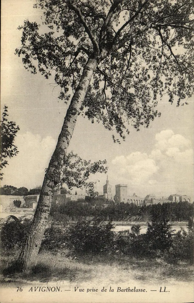 Avignon — Uitzicht genomen vanaf de Barthelasse — LL - Voorkant