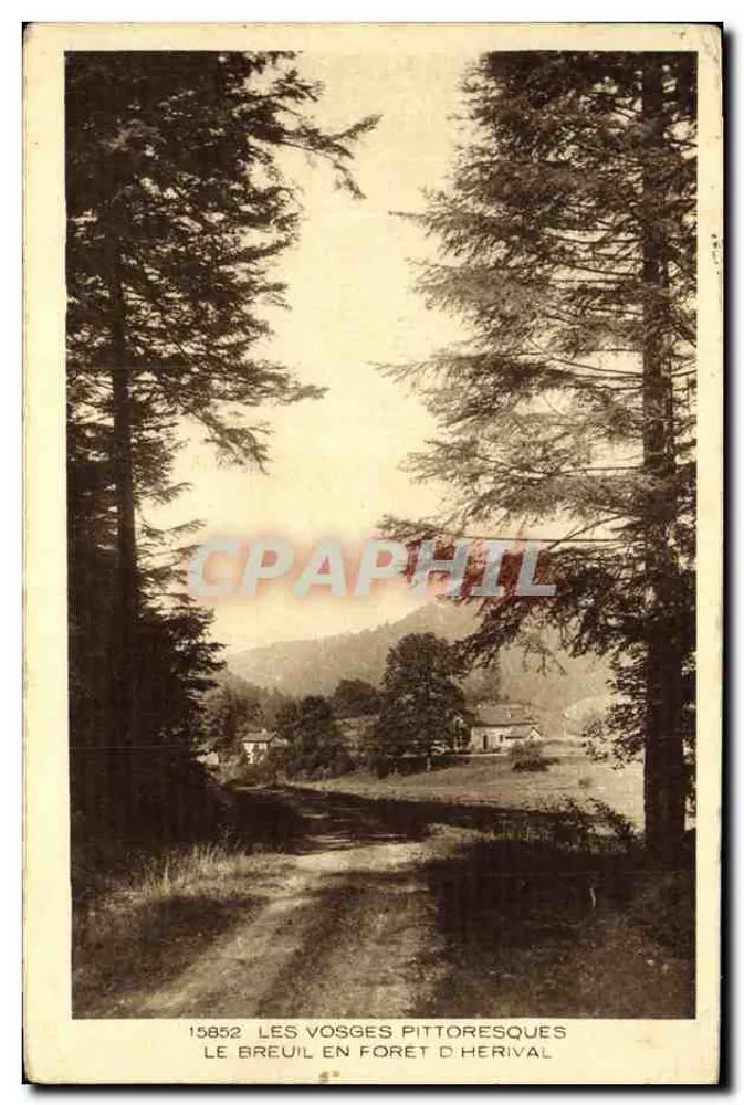 Le Breuil im Wald von Herival — Die malerischen Vosges — Braun & Cie, Imp. Edite, Mulhouse-Dornach - Vorderseite