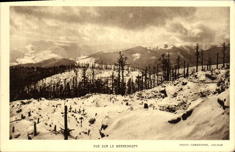 Vista do Barrenkopf — montanha nevada com floresta de pinheiros despidos — Foto Christophe, Colmar - Frente