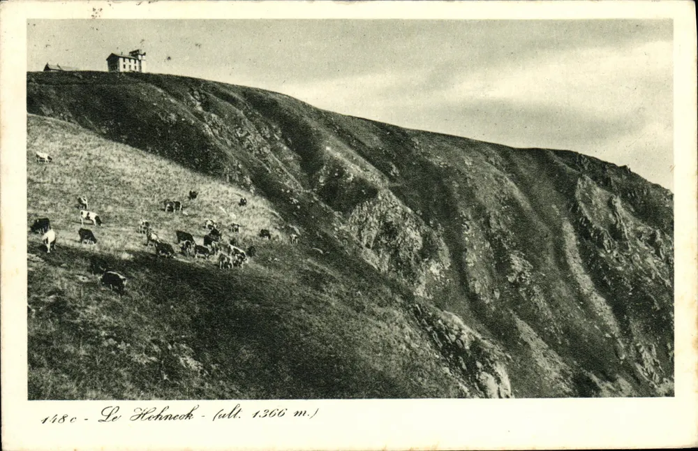 Le Hohnneck - (alt. 1306 m.) — Edição H. Litaize, Hôtel Melweil, Le Hohnneck - Frente