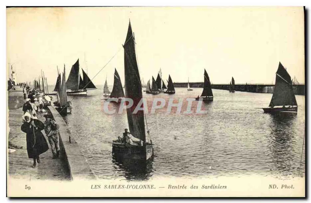 Les Sables-d'Olonne — Rückkehr der Sardinen — ND. Phot. - Vorderseite