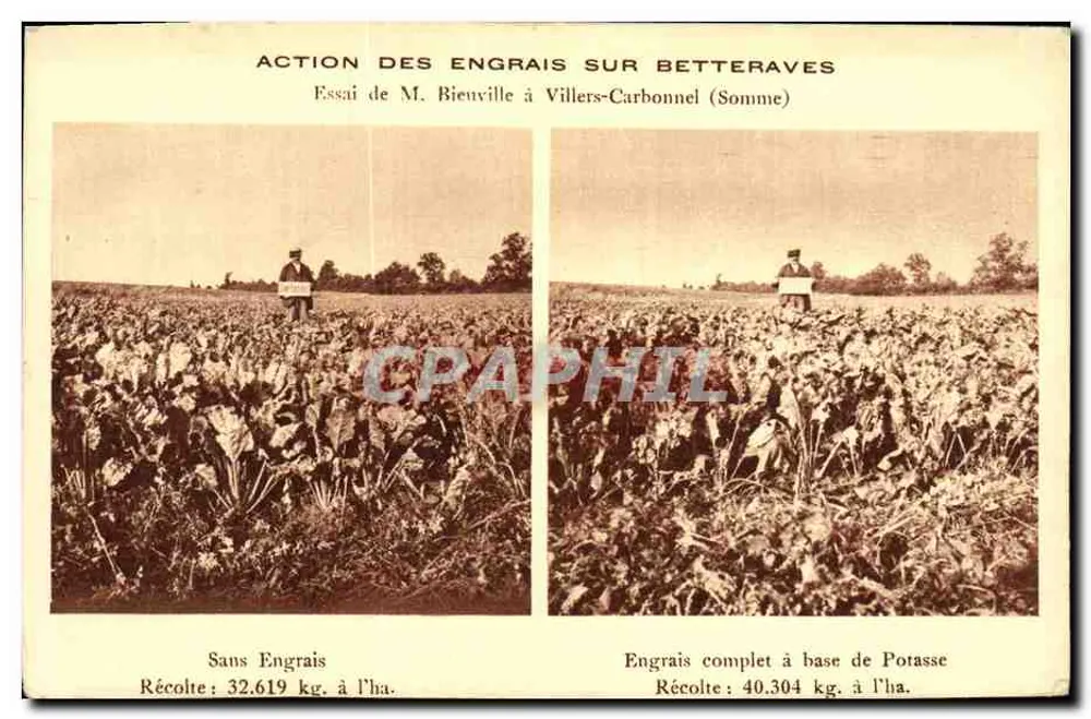 Wirkung von Düngemitteln auf Zuckerrohr — Versuch von Herrn Bieuville in Villers-Carbonnel (Somme) — BRAUN & Cie, Imp. Mullhouse-Dornach - Vorderseite