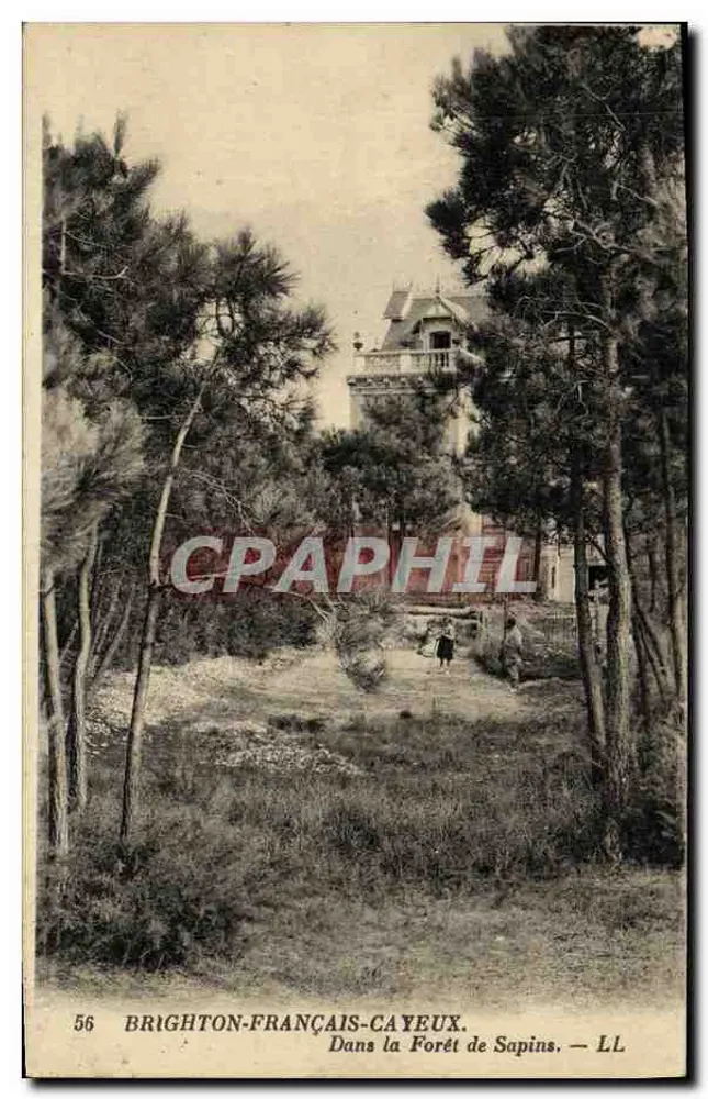 Brighton-Français-Cayeux — In der Tannenwald — LL - Vorderseite