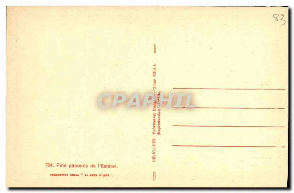 Parasol-Kiefern des Estérel — Sammlung Rella — n°754 - Rückseite
