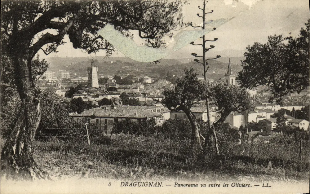 Draguignan — Panorama vu entre les Oliviers — LL. - Recto