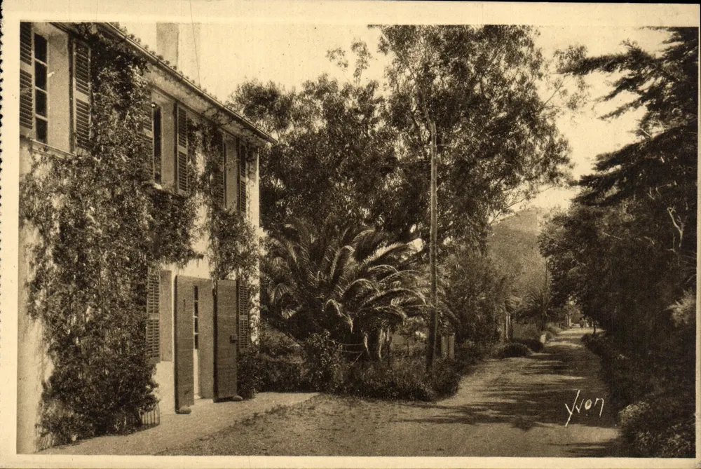 Die Inseln von Hyères (Var) — Porquerolles — Straße führend zum Silberstrand — Éditions d'Art Yvon - Vorderseite