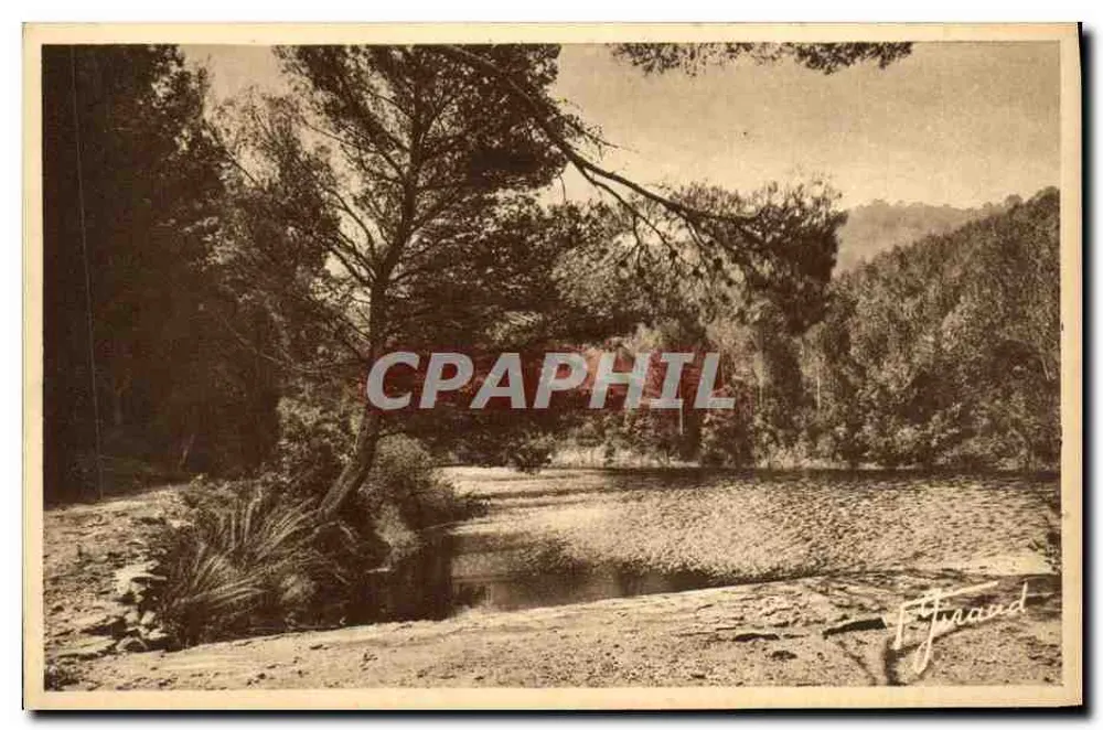 Der See des Tal der Einsamkeit — Insel Port-Cros, Gemeinde Hyères (Var) — F. Juvaand - Vorderseite