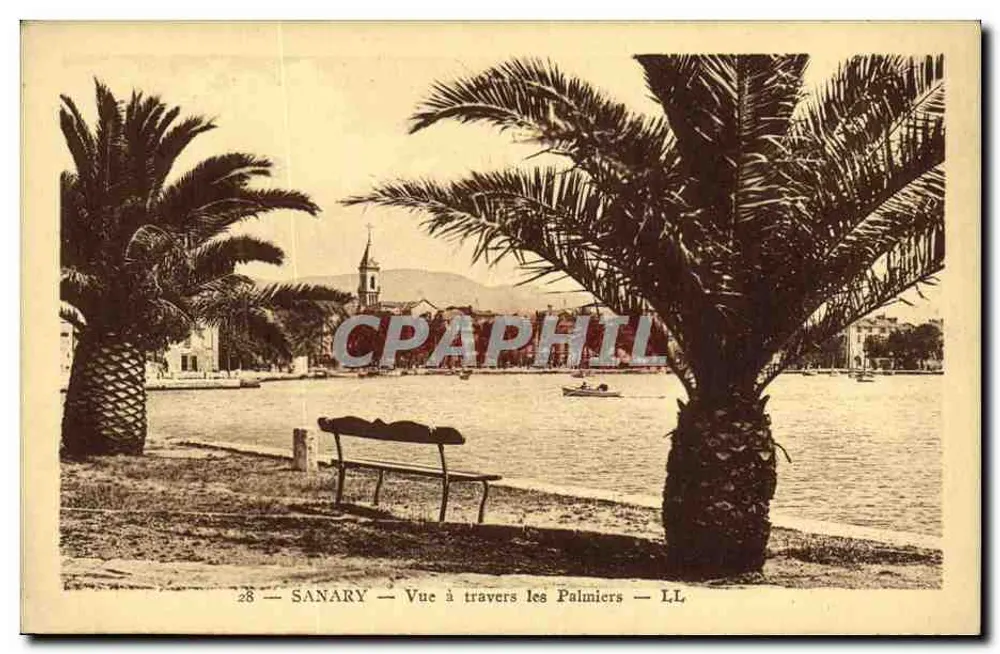 Sanary — Vista através dos Palmeiros — LL - Frente