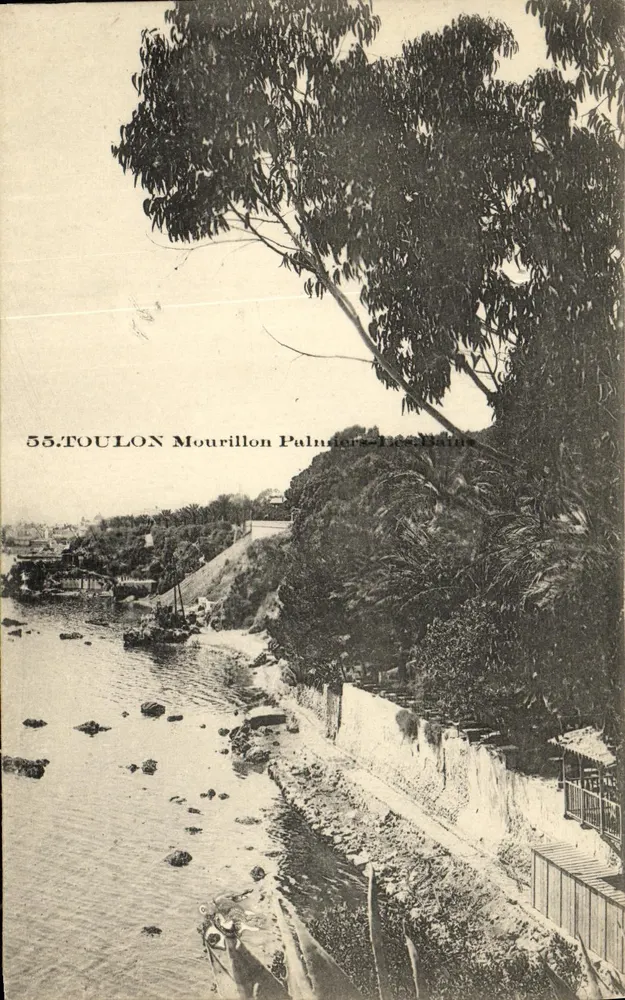 Toulon — Mourillon, Palmiers-Les-Bains — editor desconhecido, n° 55 - Frente