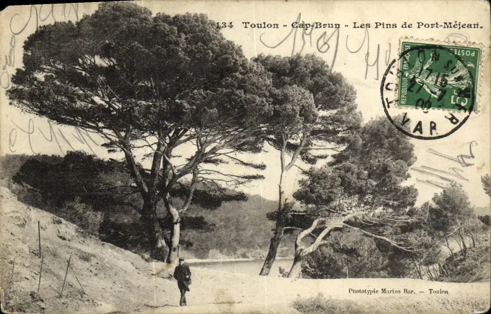 Toulon - Cap-Brun - Die Kiefern von Port-Méjean — Phototypie Marius Bar, Toulon - Vorderseite