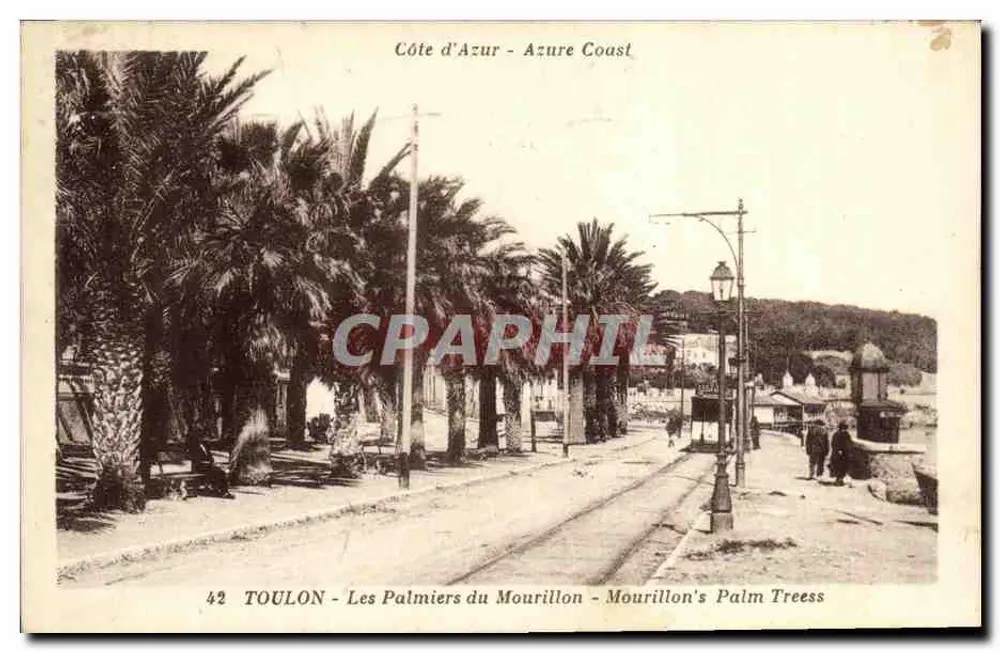 TOULON - Les Palmiers du Mourillon — Éditeur : Impr. de la Côte d'Azur Illustrée, n° 42 - Vorderseite